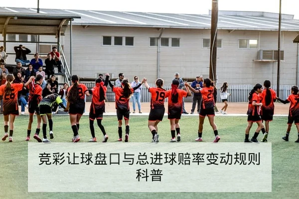 CBA本轮伤病名单与可用替补轮换速查
